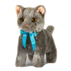 Blue Plush Kitten